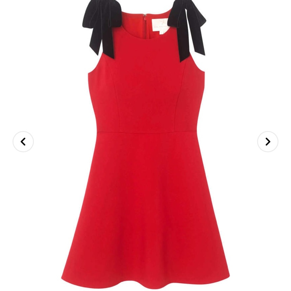 Gal Meets Glam Zara dress